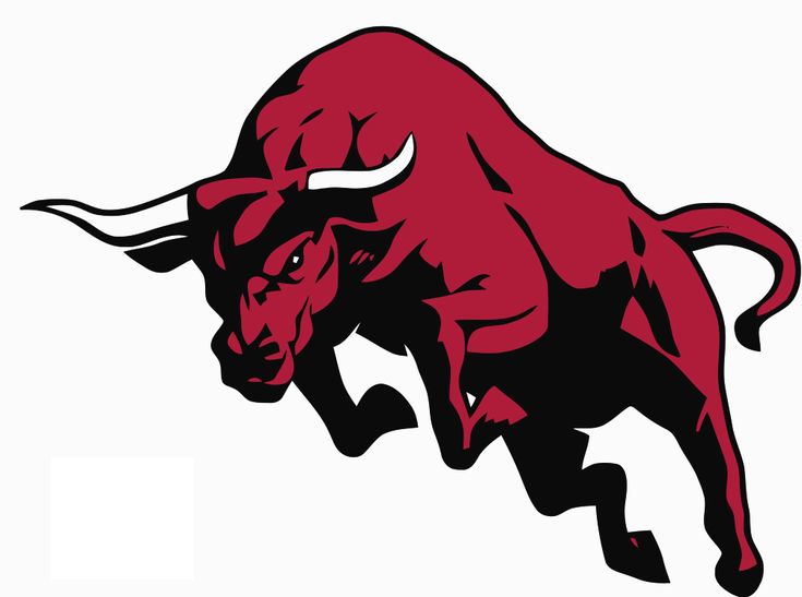 The Bulls in Red Bull logo