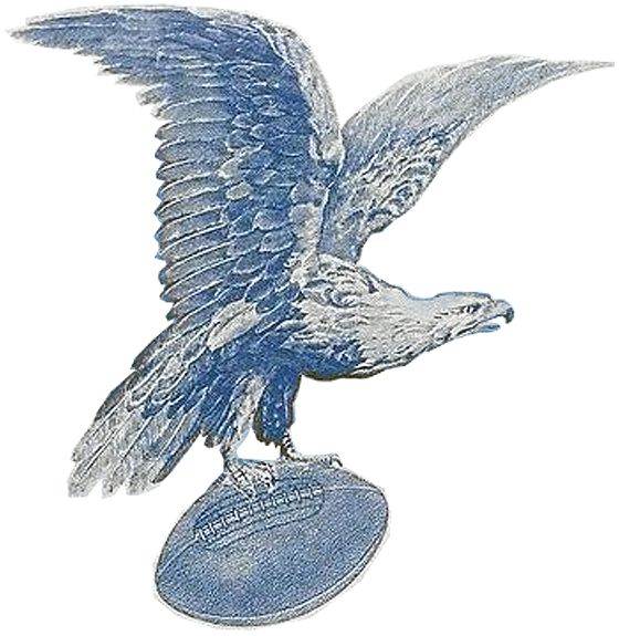 The Genesis: The Blue Eagle and the NRA (1933–1935)
